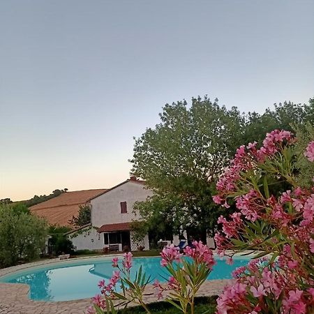 Agriturismo La Locandiera Montemerano Extérieur photo