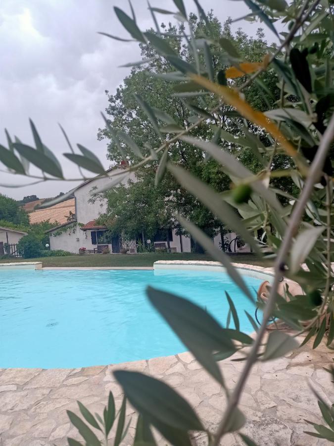 Agriturismo La Locandiera Montemerano Extérieur photo