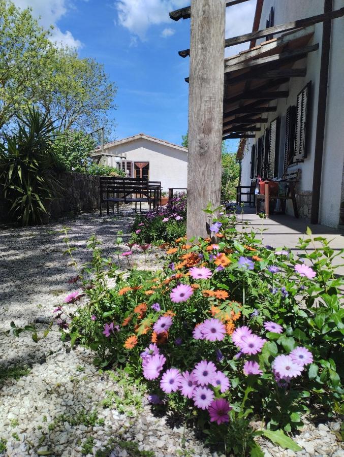 Agriturismo La Locandiera Montemerano Extérieur photo